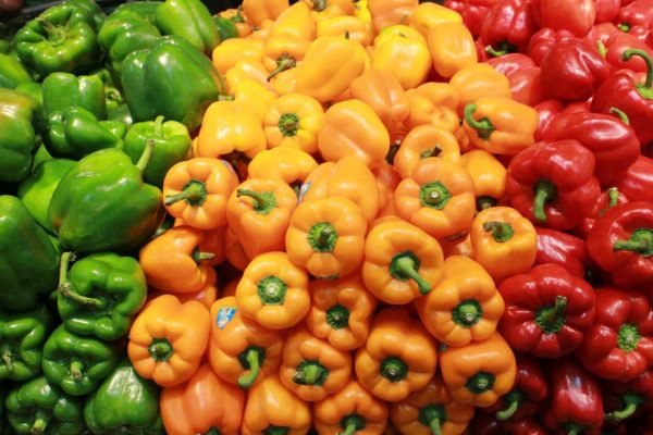 Capsicum